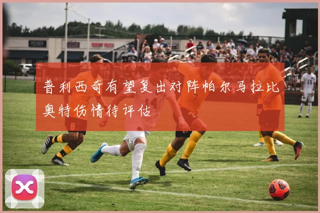 普利西奇有望复出对阵帕尔马拉比奥特伤情待评估
