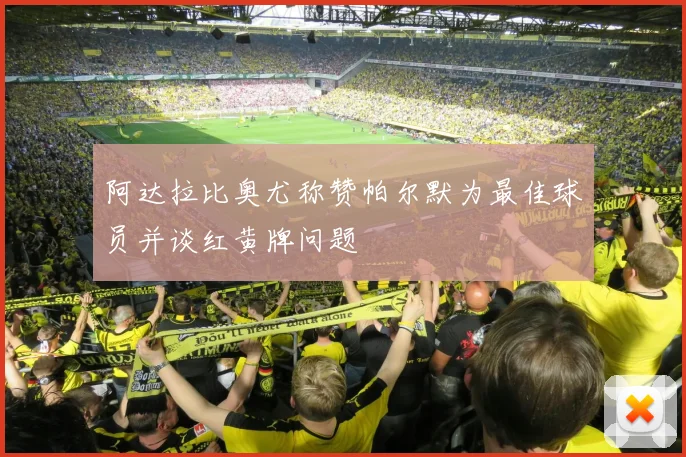 阿达拉比奥尤称赞帕尔默为最佳球员并谈红黄牌问题